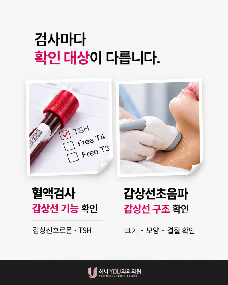 혈액검사가 정상인데도 서면갑상선초음파가 필요할까요? | 하나유외과의원 사진 3